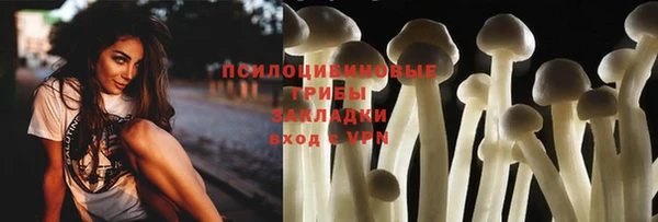 соль курить ск Переславль-Залесский