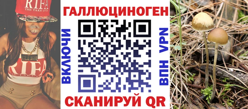 Купить где  Дмитров  Галлюциногенные грибы Cubensis 